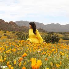Maybe you would like to learn more about one of these? The Mask Is Off Gal Fashion El Paso Texas El Paso Boutique El Paso Shopping