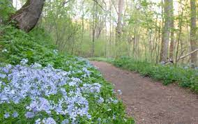 In addition to taking the reins of the stand in 1984, ron peters has been making all of the metal items sold at the stand since 1970. Hiking Through Shenks Ferry Wildflower Preserve In Lancaster County Pa Uncovering Pa