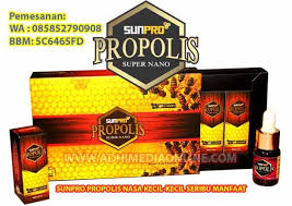 Sunpro Propolis Nasa Kecil Kecil Seribu Manfaat Pasta Gigi Nasa Obat Kumur