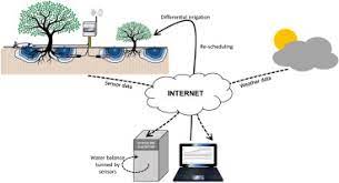 Differential Irrigation Scheduling By An Automated Algorithm Of Water Balance Tuned By Capacitance Type Soil Moisture Sensors Sciencedirect