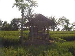 Agar bisa mendapatkan hasil panen yang … Gubuk Di Tengah Sawah Dan Keheningan Hendricus Widiantoro