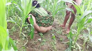 18yo farm girl the corn field: نتائج 2025, 2 | xHamster