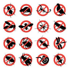 Best north jersey pest control for busy families. 10 Off For New Annual Contracts Bergen County