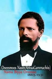 Adena Dadi's Instagram, Twitter & Facebook