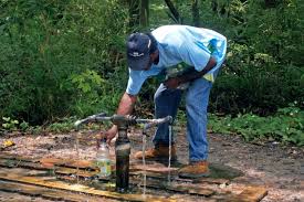 When the indians arrived, warm mineral springs was a giant pit surrounded by a huge forest. God S Acre Healing Springs Sc Picture Project