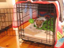 Dog Crate Blanket Cover Yasserchemicals Com