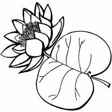 See more ideas about leaf coloring page, coloring pages, leaf coloring. Pin By Alexandra Infante On Bunting Leaf Coloring Page Coloring Pages Coloring Pages To Print