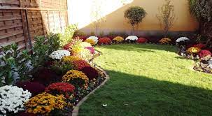 Wonderful Autumn Colours Chrysanthemum Mums Flower Bed Autumn Bed Chrysanthemum Colours Flower Mums Wonderful Mums Flowers Chrysanthemum Flower Beds