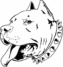 How to draw a pit bull dog. Pitbull Dog Drawing Face Easy