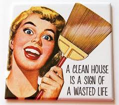 A Clean House Is A Sign Of A Wasted Life Meaning Funny Magnet Kitchen Magnet A Clean House Fridge Magnet Humor Funny Saying Stocking Stuffing Funny Gift Mothers Day 5551 Clean House Funny Magnets Kitchen Magnet