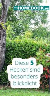 Eine Gut Verzweigte Hecke Ist Der Ideale Schutz Vor Wind Und Neugierigen Blicken Der Nachbarn Wie Sie Einen N In 2020 Sichtschutz Pflanzen Hecke Garten Landschaftsbau