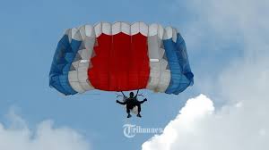 Beliau menjadi wanita pertama malaysia pembawa bendera di upacara pembukaan sukan olimpik musim panas 2012 di london. Atlet Terjun Payung Fasida Semarakkan Hut Tni Au Ke 71 Tribunnews Com Mobile