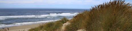 Because of the dense forest and steep slopes, established campsites are few and hard to come by, but they are there if. Siuslaw National Forest Recreation Gov