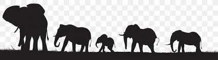 Elephant silhouette vector clipart and illustrations (7,370). African Elephant Silhouette Clip Art Png 8000x2228px African Elephant Asian Elephant Black And White Camel Camel