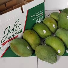 Harga mangga harum manis per 100 gram rp 2.700, sedangkan untuk per kilo harga mangga harum manis dibanderol kisaran rp 27.000. Julie Mango Ukuran Super Isi 12 Pcs Berat 6 Kg Mangga Harum Manis Masak Pohon Shopee Indonesia