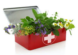 Earn a medicinal plants certificate from experts at cornell university. Why I Don T Like Herbal Medicine Soda Pharm Life