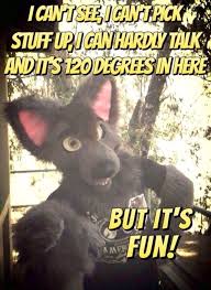Probably True Xd Furry Meme Furry Quote Furry Comic