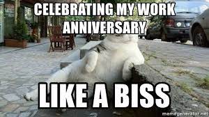 Happy 2 year work anniversary cat meme. Work Anniversary Meme