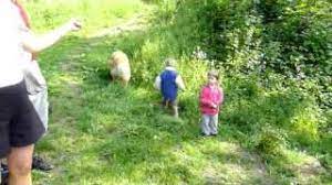 At the 2015 local government reform it became a subdivision of the municipality prrenjas. Samulda Na Zamecky Vrch 02 062011 Rajce Net 4 Youtube