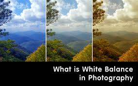 How does one change white balance? What Is White Balance In Photography