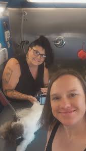 Custom baby/pet gates with decorative design