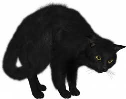 Black Cat Png Transparent Image Black Cat Pngget To Download Free Black Cat Png Vector Photo In Hd Quality Without Limit It Comes Image Cat Black Cat Cats