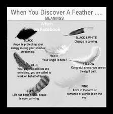 Interesting Feather Meaning Witch Book Of Shadows