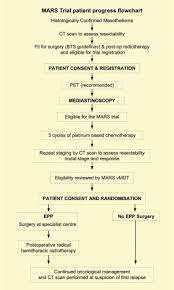 As always the blog posts are my medical review notes, and this post is to remind me what respiratory (pulmonary) guidelines are available from the bts. The Mesothelioma And Radical Surgery Randomized Controlled Trial The Mars Feasibility Study Journal Of Thoracic Oncology