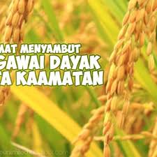 Ulang tahun sendiri akan terjadi setiap tahun hari ulang tahun merupakan hari yang sangat spesial bagi siapa saja. Selamat Menyambut Hari Gawai Dayak Dan Pesta Kaamatan