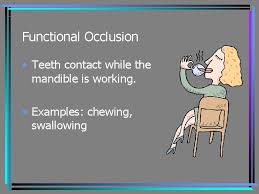 James a everett dds medical practice. Occlusion Chapter 20 Definition Occlusion Is Defined As