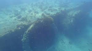 Get to know microsoft researchers and engineers who are tackling complex problems across a wide range of disciplines. Electric Beach Snorkeling Hawaii Beaches Things To Do In Hawaii