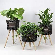 Jual pasu bunga in english. Azwiz Homeware Set Pasu Bunga Nordic English Style Facebook