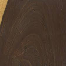Lignum Vitae Guaiacum Officinale Hardwood Wood Lignum