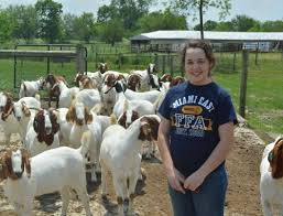 What are the three components of ag education, sae, ffa, & . Ffa Trivia Take Our Quiz National Ffa Organization