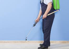 Birth control pills are safe for most women, but all medicines can have risks & side effects. Pregnancy And Pest Control Expatwoman Com