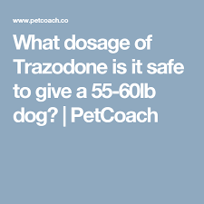 Pin On Dog Health And Med S
