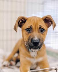 Merrick Herald 02-09-2023 by Richner Communications, Inc