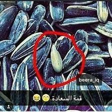 بزر دوار الشمس fun quotes funny funny joke quote arabic funny