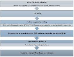 Coronary Microvascular Dysfunction and Vasospastic Angina—Pathophysiology,  Diagnosis and Management Strategies