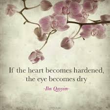 Islam Quotes To Soften Hard Heart Read Alqur An Make Shodaqo And Care The Orphans Islamic Quotes Islam Quotes About Life Beautiful Islamic Quotes