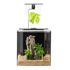 The tanks recommended in our 'best betta tanks' article are easy to clean and won't take too long. Best Self Cleaning Fish Tank Aquarium Reviews Of 2021 Pet Loves Best