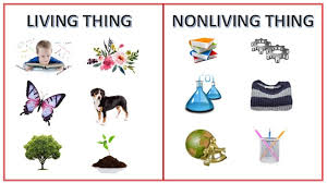 Living things acquire materials and. Characteristics Of Living And Non Living Things Selftution