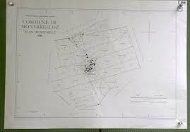 Commune de Montbrelloz. Plan d'ensemble. Levé par Paul Joye. Carte  topographique 5:000. Format 50x70cm.: (1948)