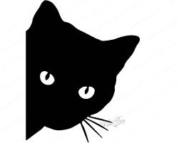 Pin On Cat