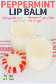 Diy chapstick recipe directions (makes 15 chapstick tubes): Easy 3 Ingredient Diy Peppermint Chapstick Living Well Mom