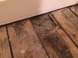 Image result for site:byggahus.se massivt-trägolv