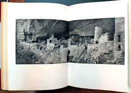 Image result for Oldenlandia verrucitesta