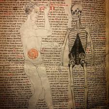 Chiar si azi consum cu mare drag din pachetul primit. Collector S Shangri La Viewing A 14th Century Medical 14th Century Antiquarian Books Medieval Art
