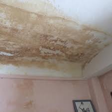 Devis peinture gratuits suite dégâts des eaux. Degat Des Eaux Quels Sont Les Travaux Et Indemnisations