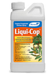 Maybe you would like to learn more about one of these? Liqui Cop Monterey Lawn Garden